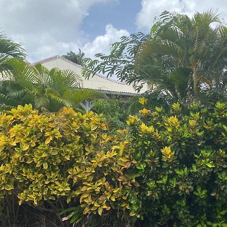 Bungalow Belfond Plage Pointe Marin Sainte-Anne Extérieur photo