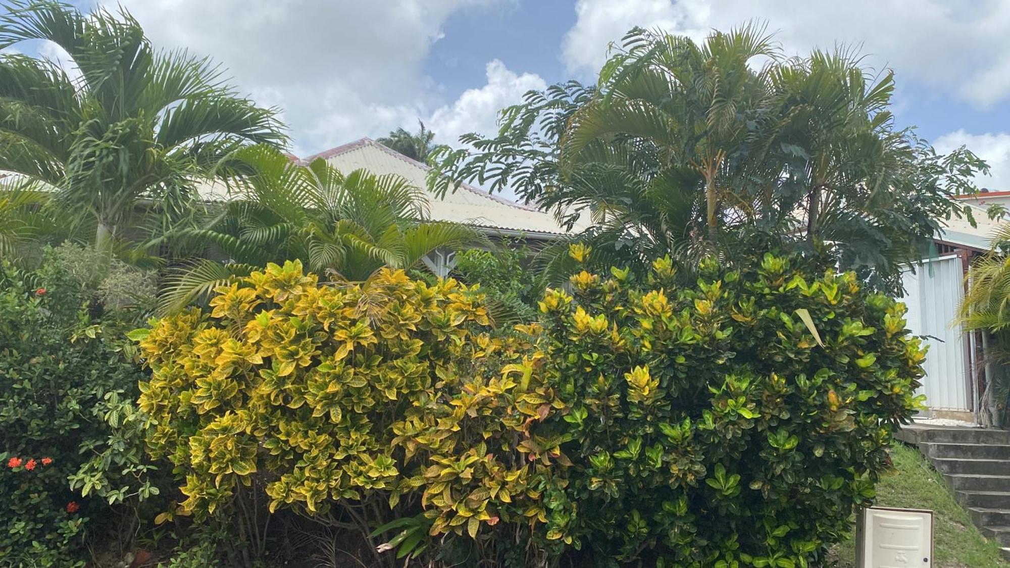 Bungalow Belfond Plage Pointe Marin Sainte-Anne Extérieur photo